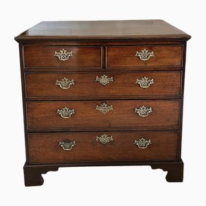George III Mahogany Chest of 5 Drawers, 1800s