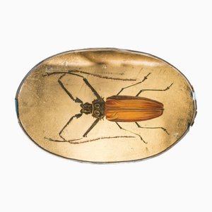 Specchio Caramel Beetle in argento di Unique Mirrors