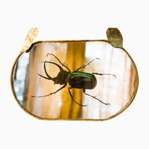 Miroir Vert Beetle Argenté de Unique Mirrors