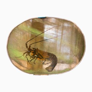 Specchio Lobster in argento di Unique Mirrors