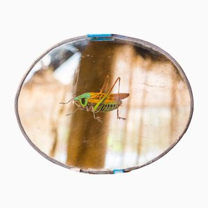 The Cricket Mirror from Unique Mirrors