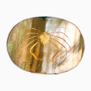 Yellow Crab Mirror from Unique Mirrors