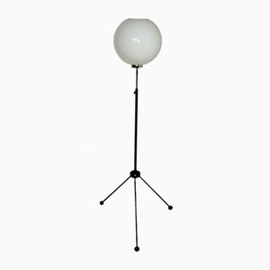 Vintage Floor Lamp by Apolinary Gałecki for Capital Metal Works