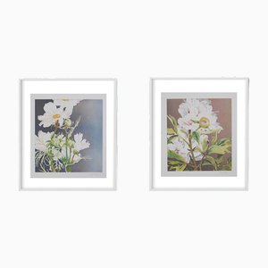 Garry Bukovnik, Peony I + Peony II, 21st Century, Prints, Set of 2