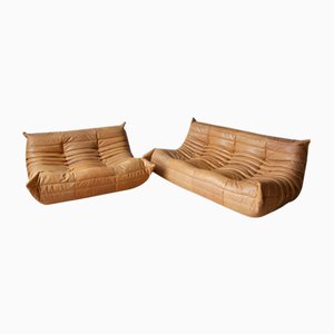Camel Leather 2-Seat and 3-Seat Togo Sofa by Michel Ducaroy for Ligne Roset, 1970s, Set of 2