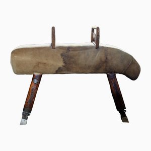 Vintage English Pommel Horse in Suede and Leather, 1950s