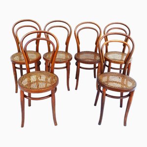 Vintage Dining Chairs from Jacob & Josef Kohn, Set of 6