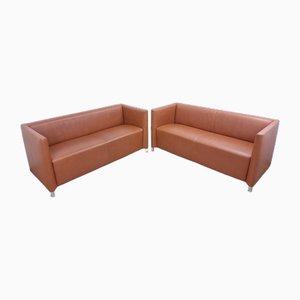 Cognac Leather Sofas from Walter Knoll / Wilhelm Knoll, Set of 2