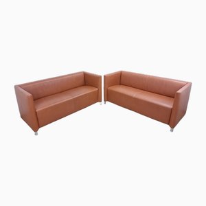 Divani in pelle color cognac di Walter Knoll / Wilhelm Knoll, set di 2