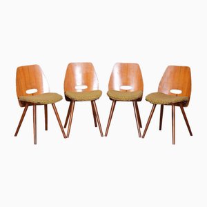 Mid-Century Walnut Chairs by Frantisek Jirak, Tatra Nabytok, Czechia, 1950s, Set of 4