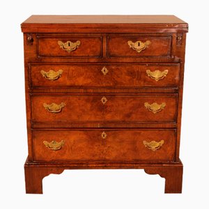 Small Chest of Drawers in Walnut, 19th Century