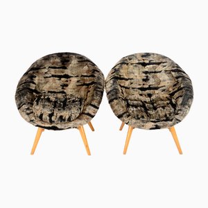 Mid-Century Shell Fiberglass Lounge Chairs attributed to Miroslav Navratil, 1960s, Set of 2