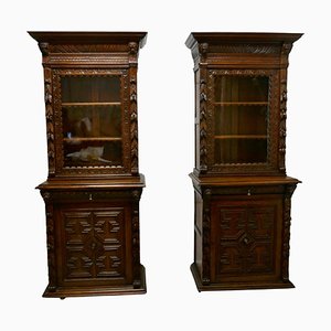 French Carved Gothic Oak Bookcases, 1860s, Set of 2