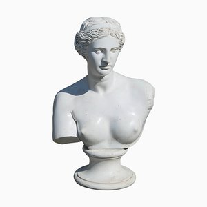 Busto vintage de escayola de Venus de Milo, 1920