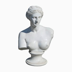 Busto vintage in gesso della Venere di Milo, 1920