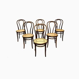 Bistrot Chairs from ZPM Radomsko, 1930, Set of 6