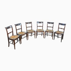 Beech Wooden Dining Chairs, 1800s, Set of 6