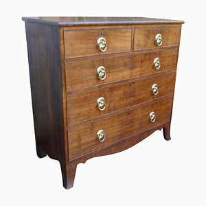 Early 19th Century Chest of Drawers