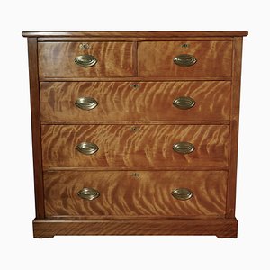 Large Antique Chest of Drawers in Birch, 1890
