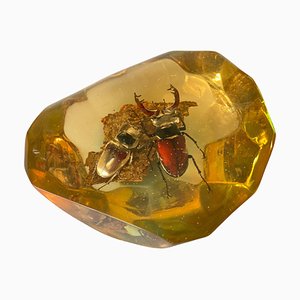 Acrylic Glass Resin Cube Sculpture with Beetles, French, 1970s