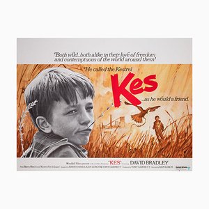 Póster de la película Kes, 1969