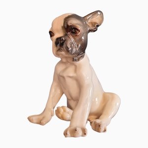 Französische Bulldogge Welpen Figur aus Nymphenburg