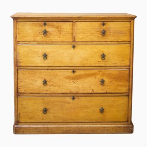 Antique Ash Chest of Drawers, 1800s