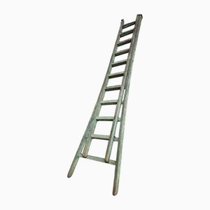 Vintage Ladder in Soft Green