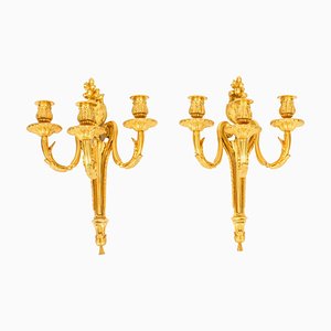 Antique Adam Revival Decorative Triple Branch Wall Lights, 1890s, Set of 2