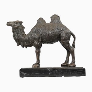 Estatua de camello de bronce francés