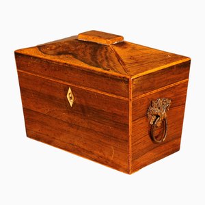 19th Century Walnut Tea Box from England