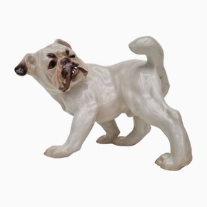 English Bulldog Figurine from Bing & Grondahl, 1960s