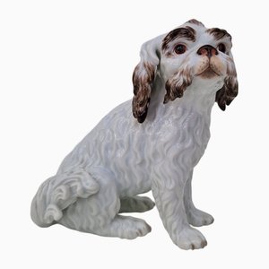 Meissen Figur Bologneser Hund
