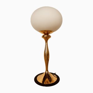Brass Light with Oval Glass and Black Disk