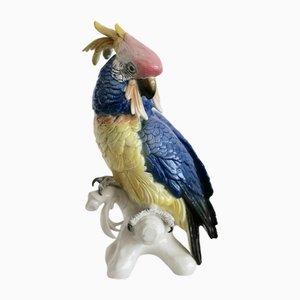 Life Size Parrot, 1935, Porcelain