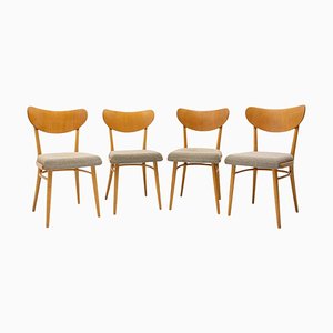 Mid-Century Dining Chairs, Czechoslovakia, 1960s, Set of 4