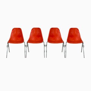 Vintage DSS Side Chairs in Coral Orange from Eames Herman Miller, 1960s, Set of 4