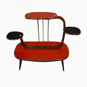 Flower Etagere with Black and Red Formica Shelves, 1950s