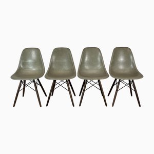 DSW Beistellstühle in Verblasst Seafoam Grün von Eames für Herman Miller, 1960er, 4 . Set