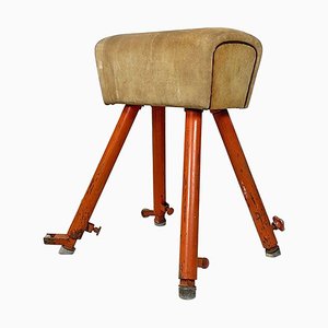 Cheval de Sport Mid-Century en Métal Orange & en Daim Marron, Europe du Nord, 1960s