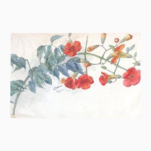 Juliette Calame, Branche fleurie, 1902, Watercolor on Paper