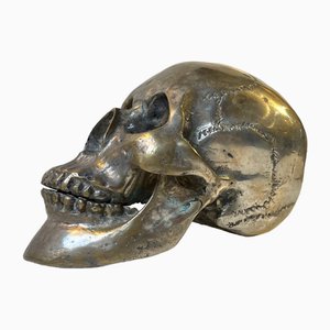 Escultura vintage de bronce de un cráneo humano, años 50