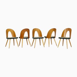 Dining Chairs by Antonín Šuman for Tatra, 1960s, Set of 5