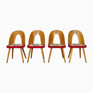 Dining Chairs by Antonín Šuman for Tatra, 1960s, Set of 4