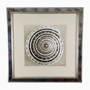 Ben Wood, Sundial Shell, 21st Century, Digital Print
