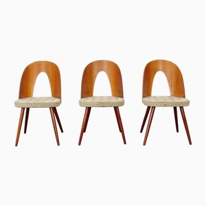 Dining Chairs by Antonín Šuman for Tatra, 1960s, Set of 3