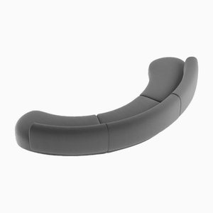 Collector Curved Hug Sofa in Charcoal by Ferrianisbolgi