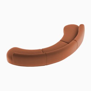 Collector Curved Hug Sofa in Burnt Orange by Ferrianisbolgi