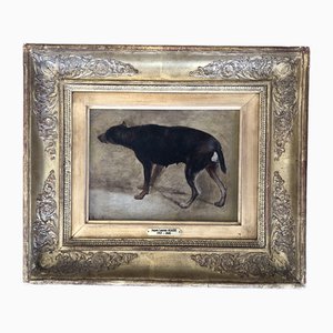Jacques-Laurent Agasse, Perro de estudio, óleo sobre cartón, enmarcado