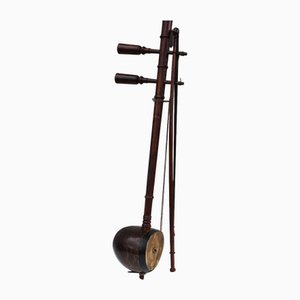 Vintage Thai Saw U 2-String Instrument in Wood and Coconut Shell, 1940s